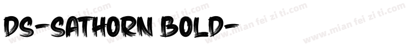 DS-SaThorn Bold字体转换